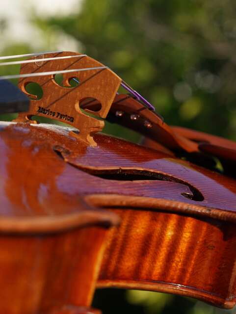 Guarneri model violin by Marios Pavlou