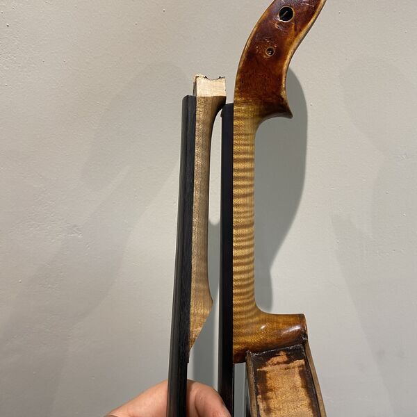 Neck graft joint close-up