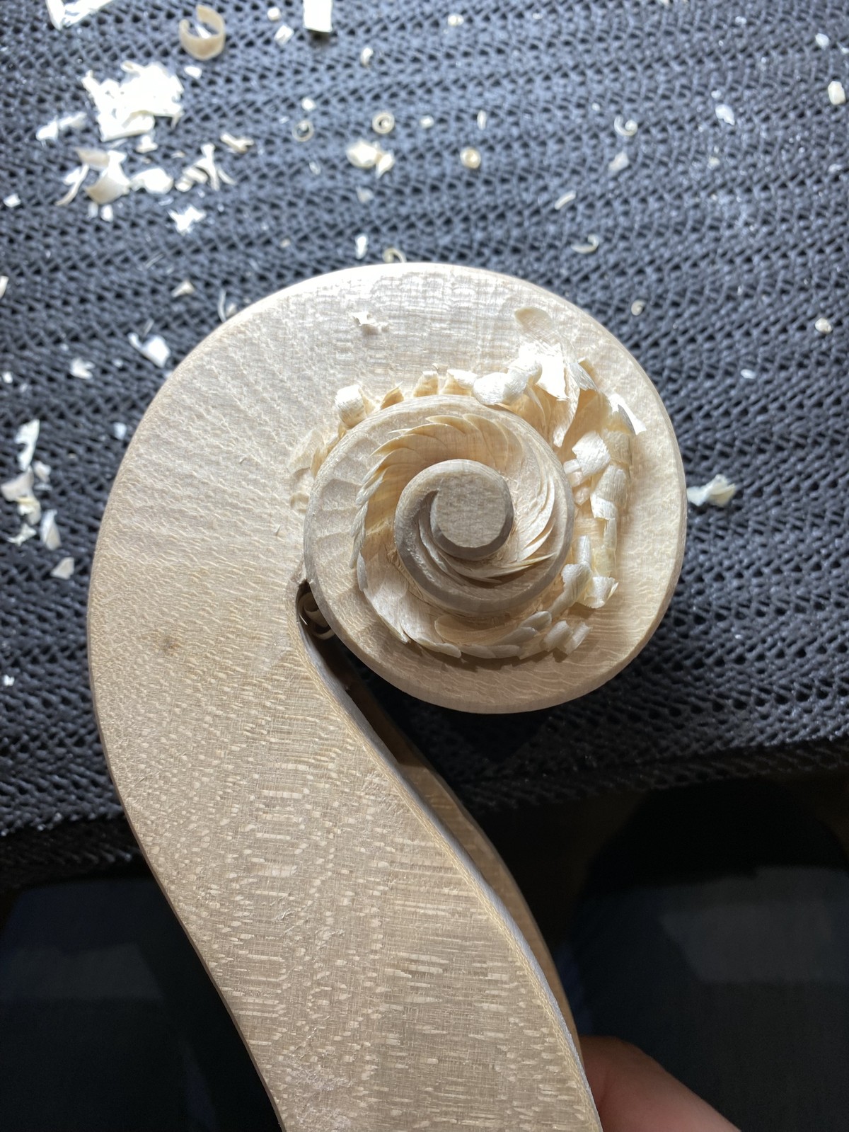 Carving the scroll's volute