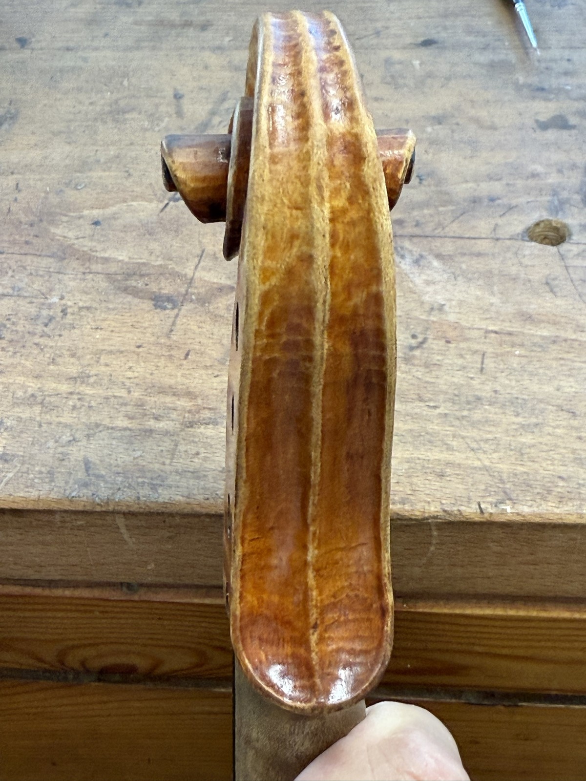 The pegbox, fluted and varnished, seen from behind