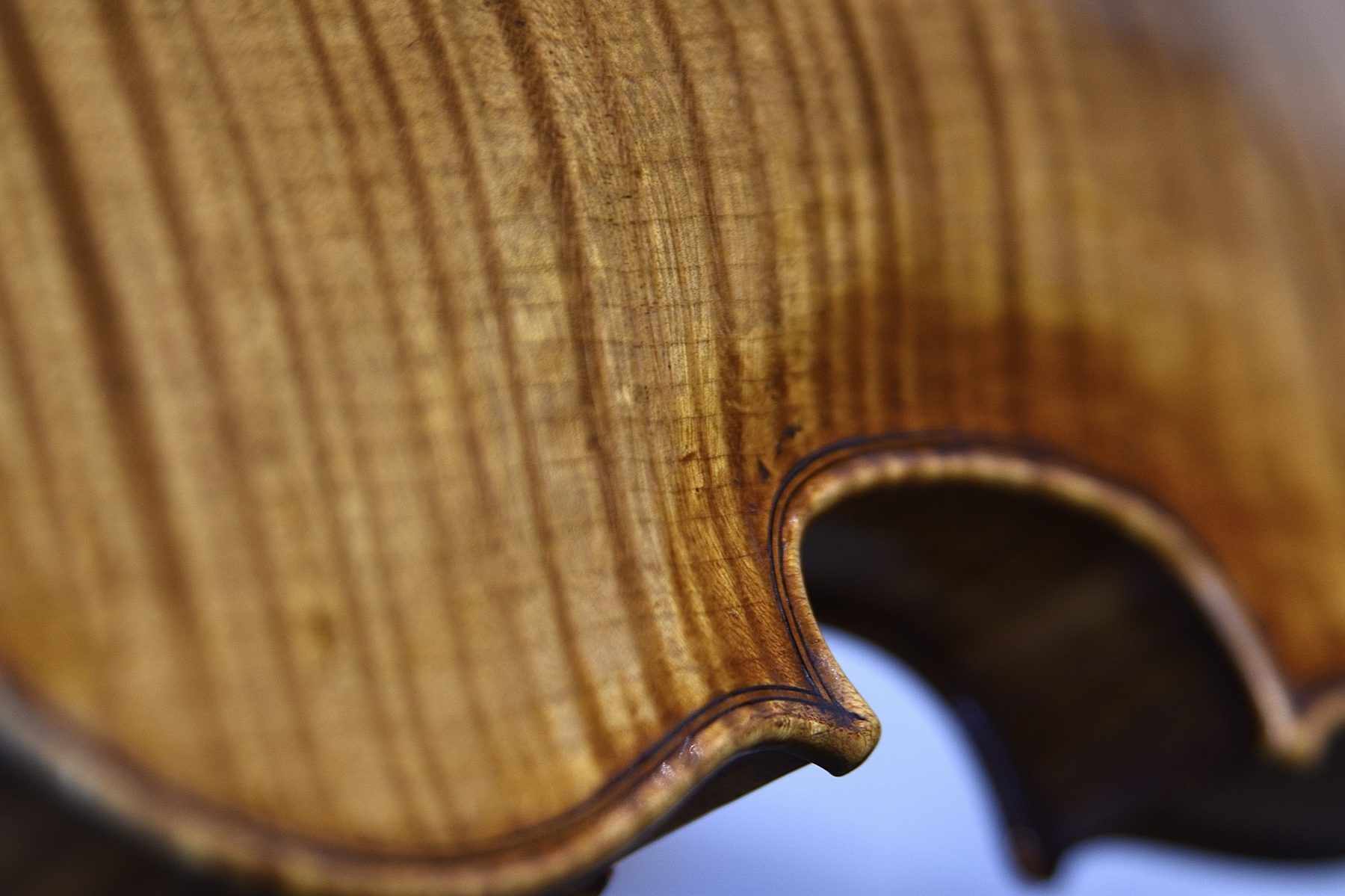 Stradivari model violin, rib and corner detail
