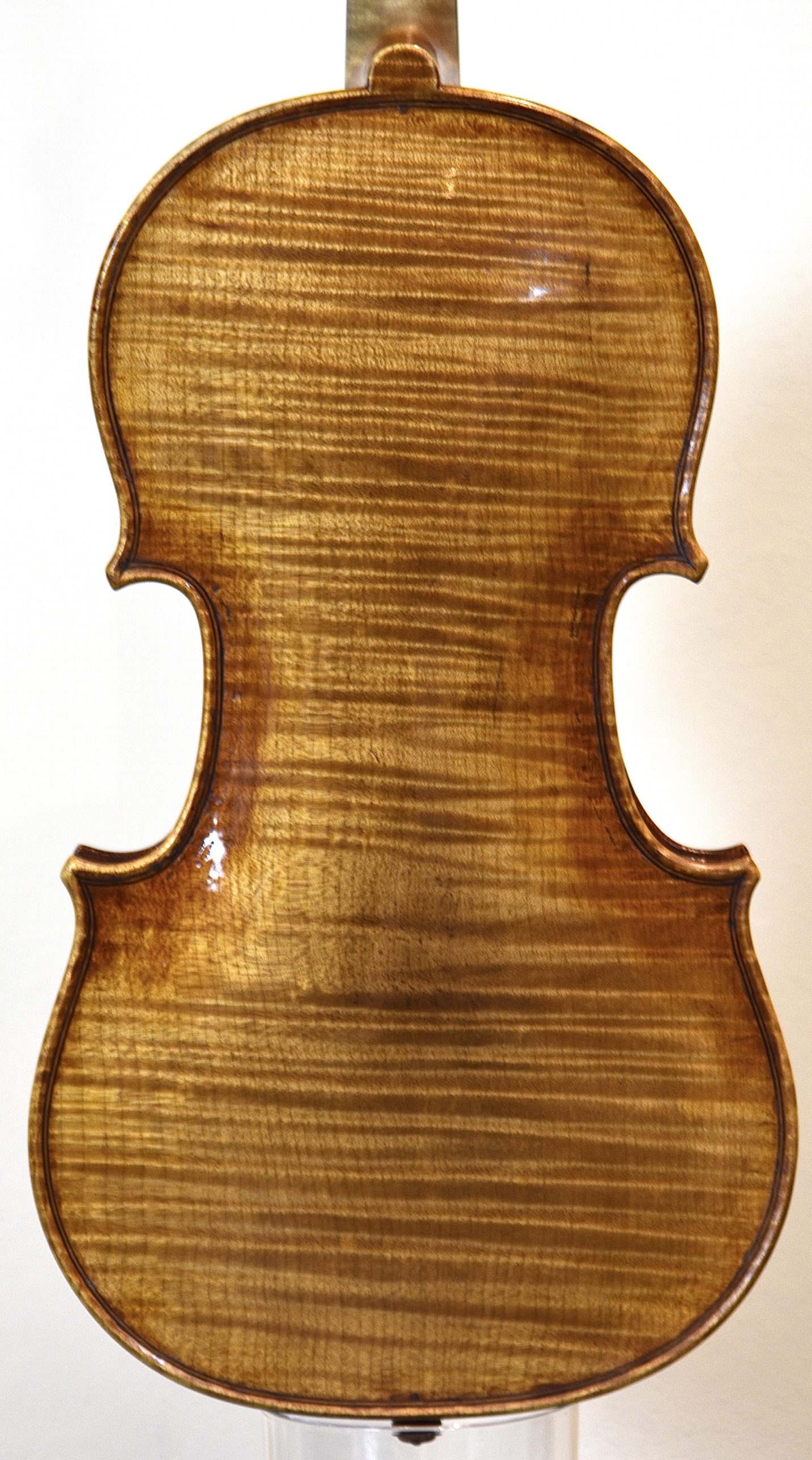 Stradivari model violin, back plate