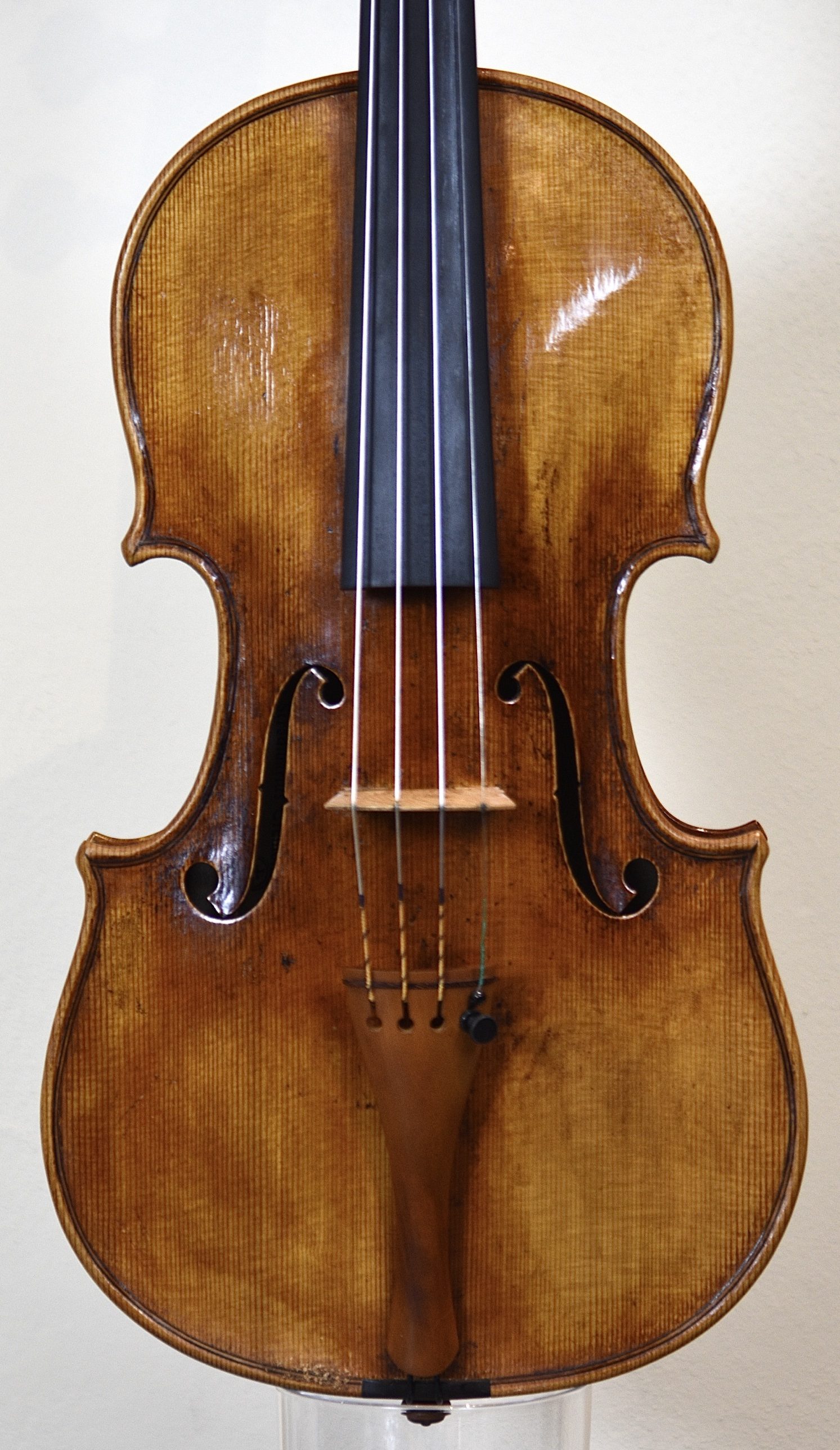 Stradivari model violin, front with strings