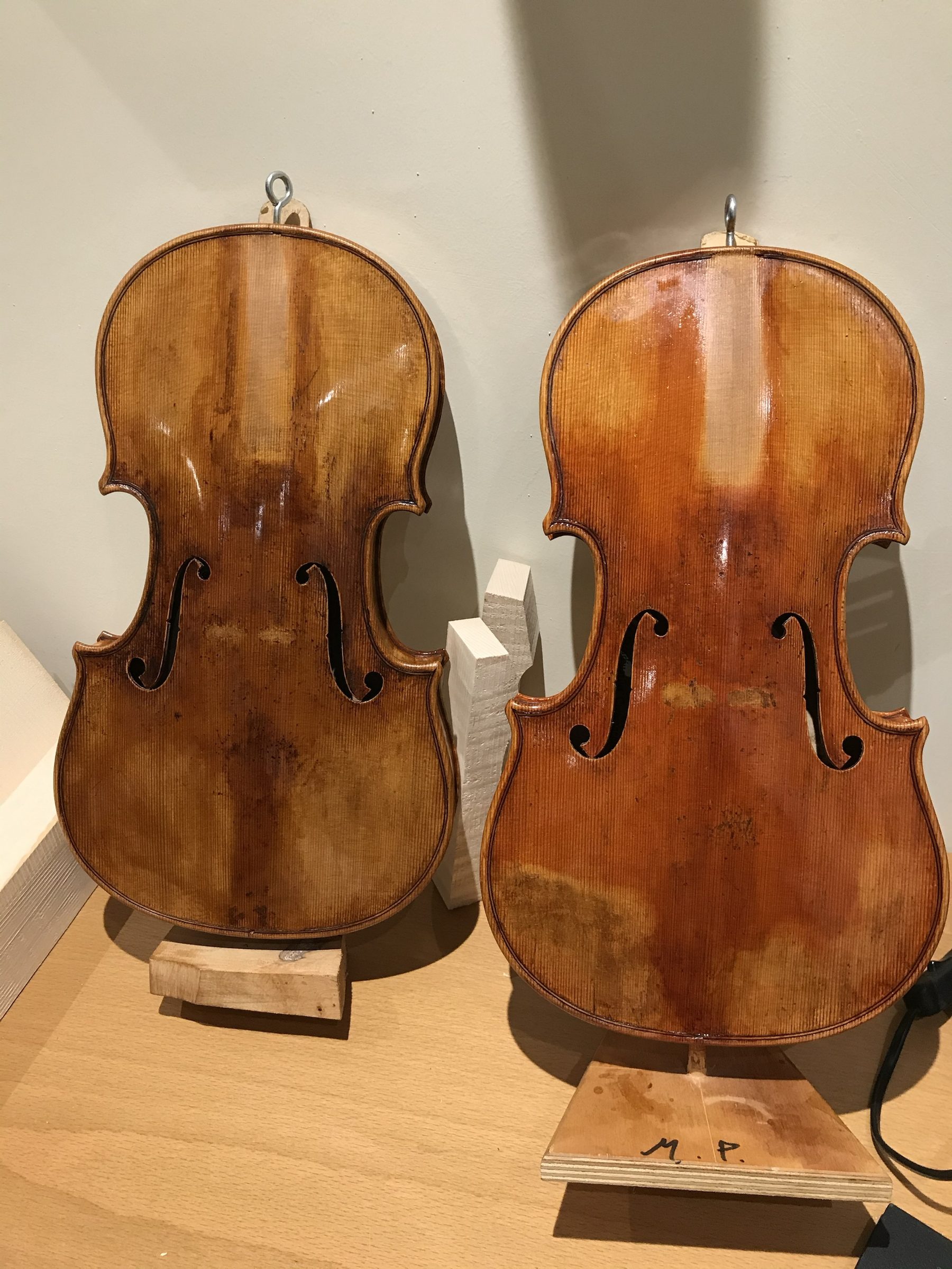 Two Stradivari model violin backs, front-facing