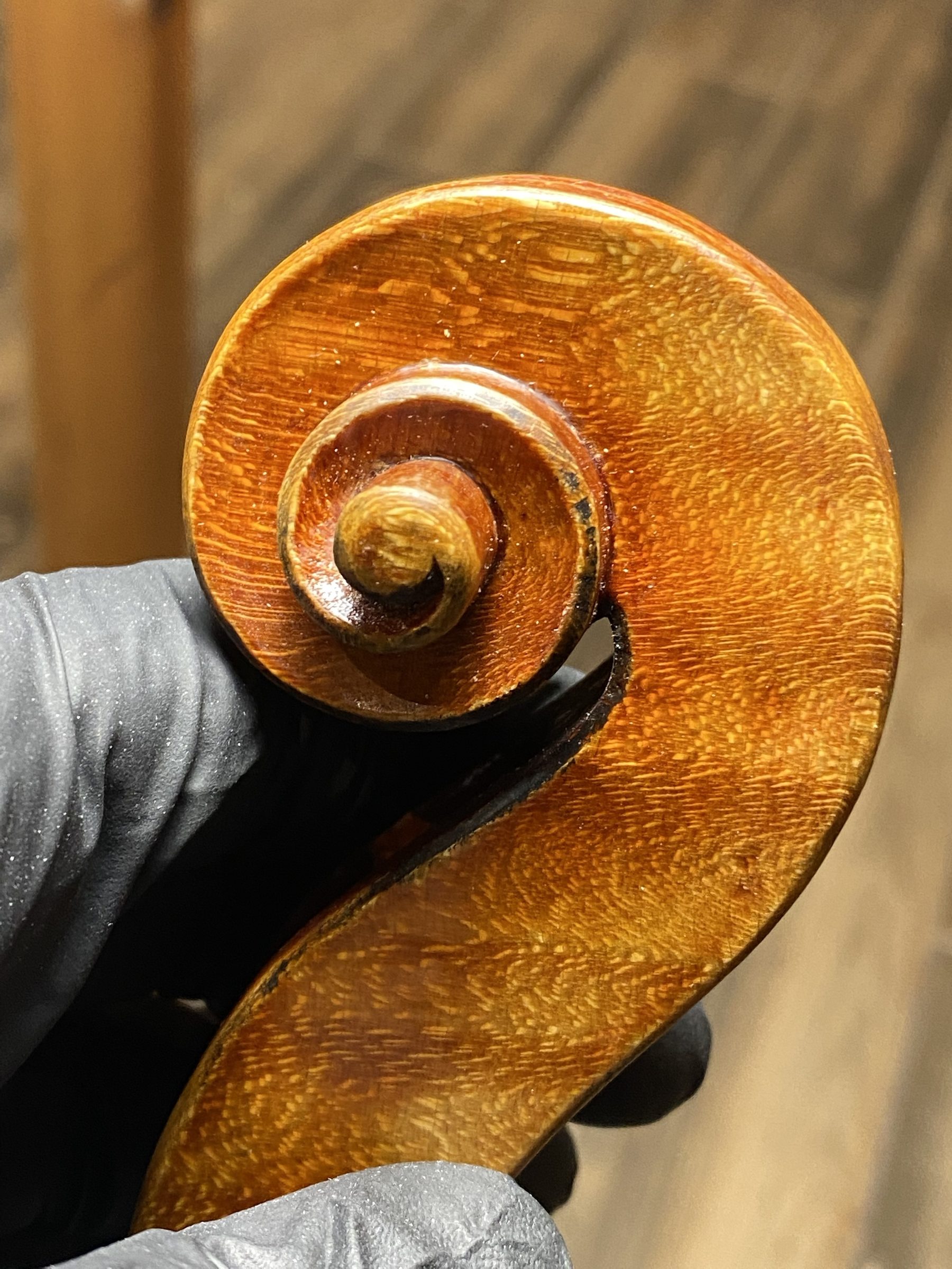 Marios holding a Stradivari model violin scroll