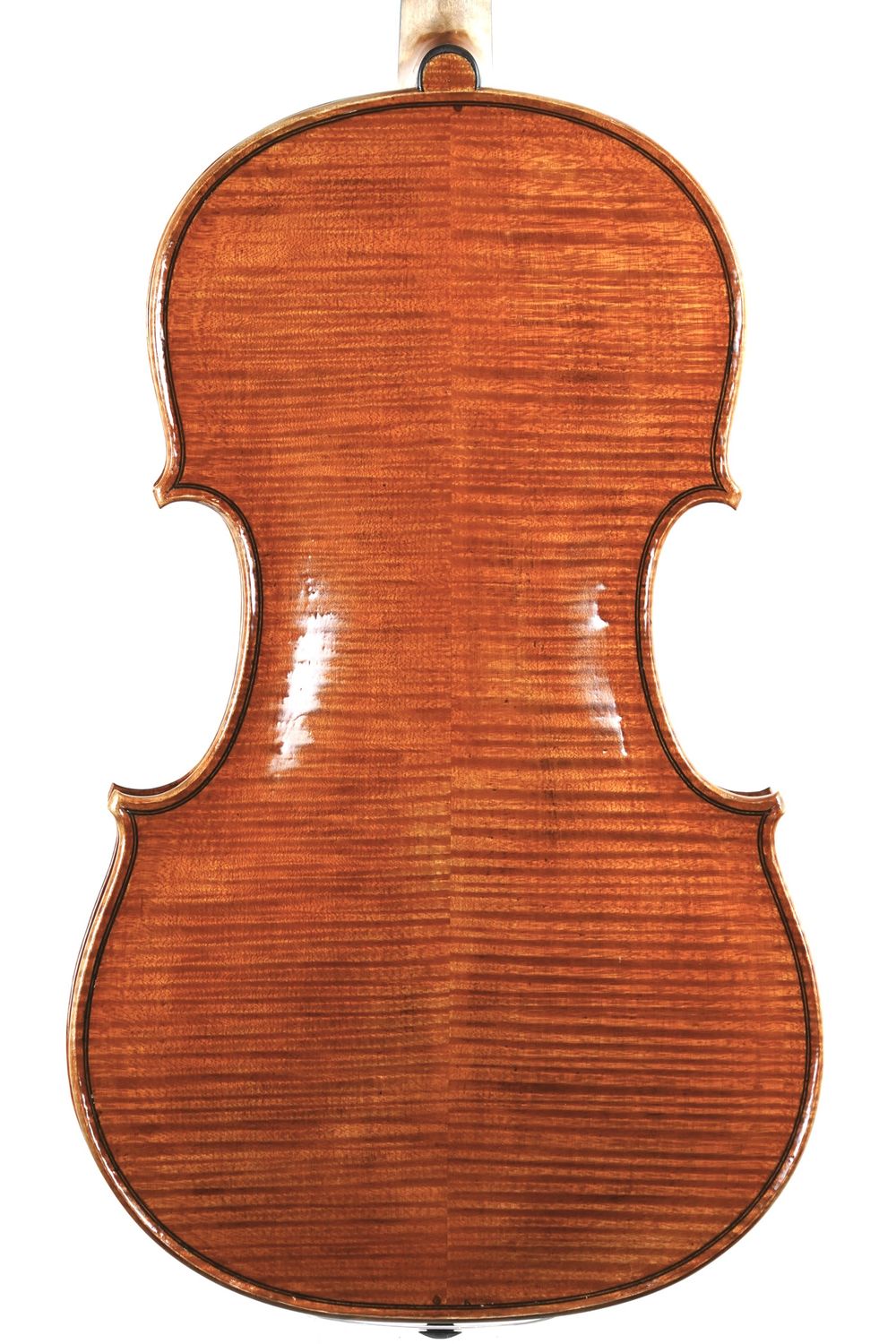 Viola by Marios Pavlou, maple back