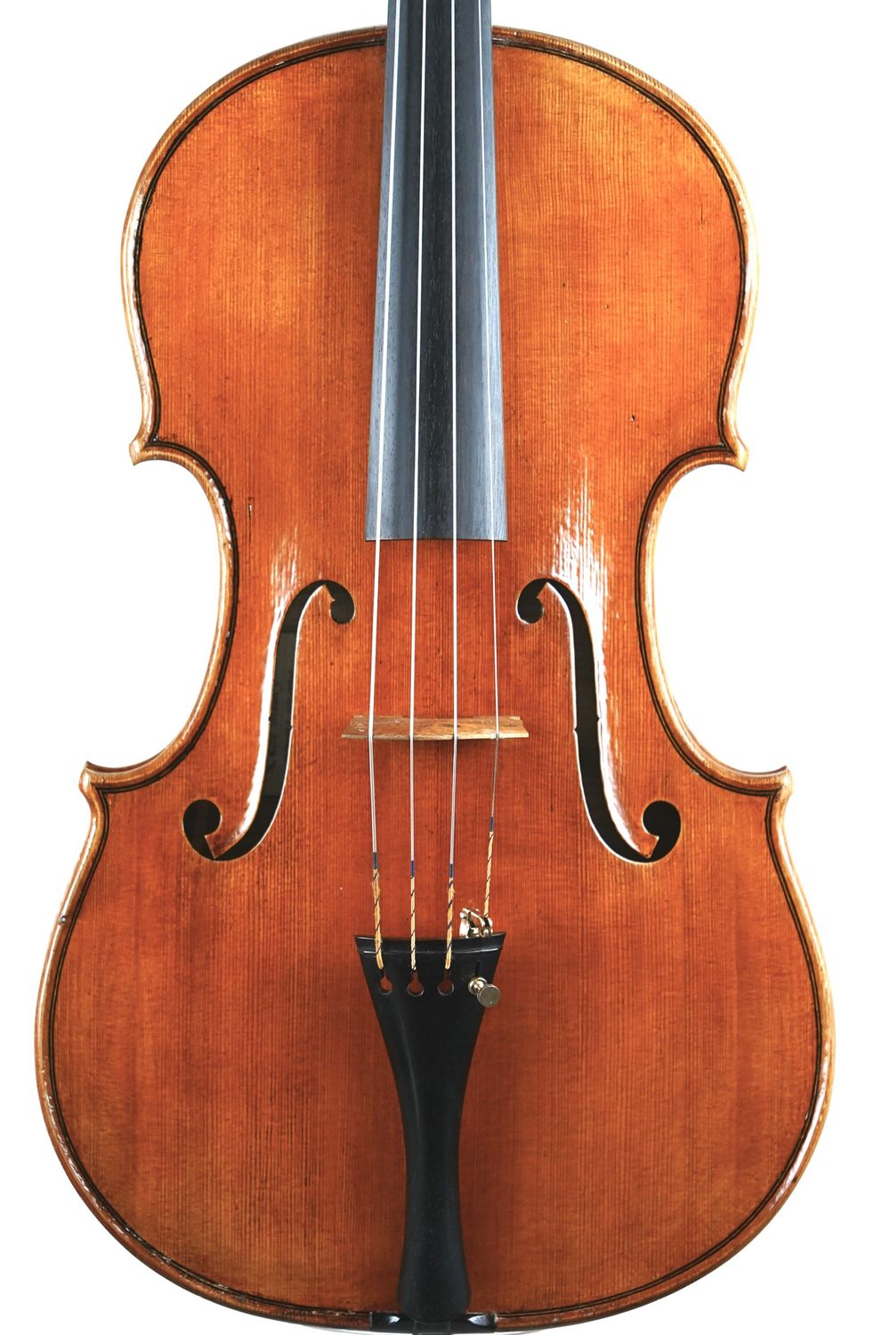Viola by Marios Pavlou, front