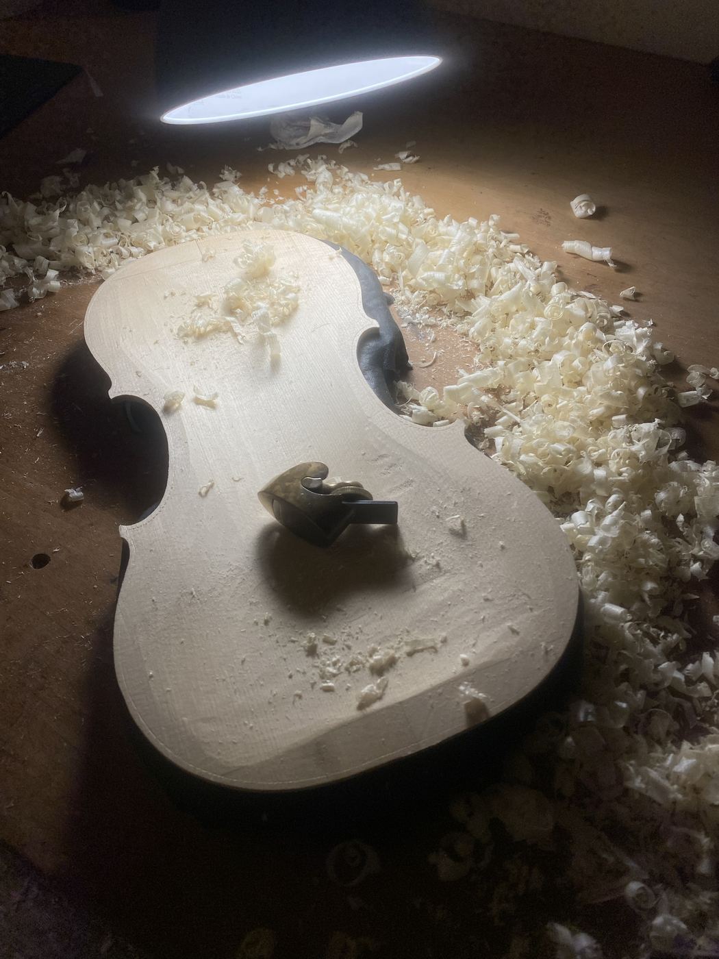 Smoothing the viola spruce top with a small plane