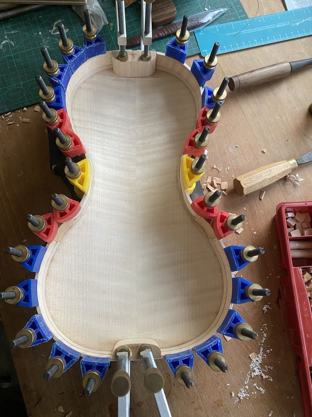 Gluing the viola ribs to the back, clamped all round