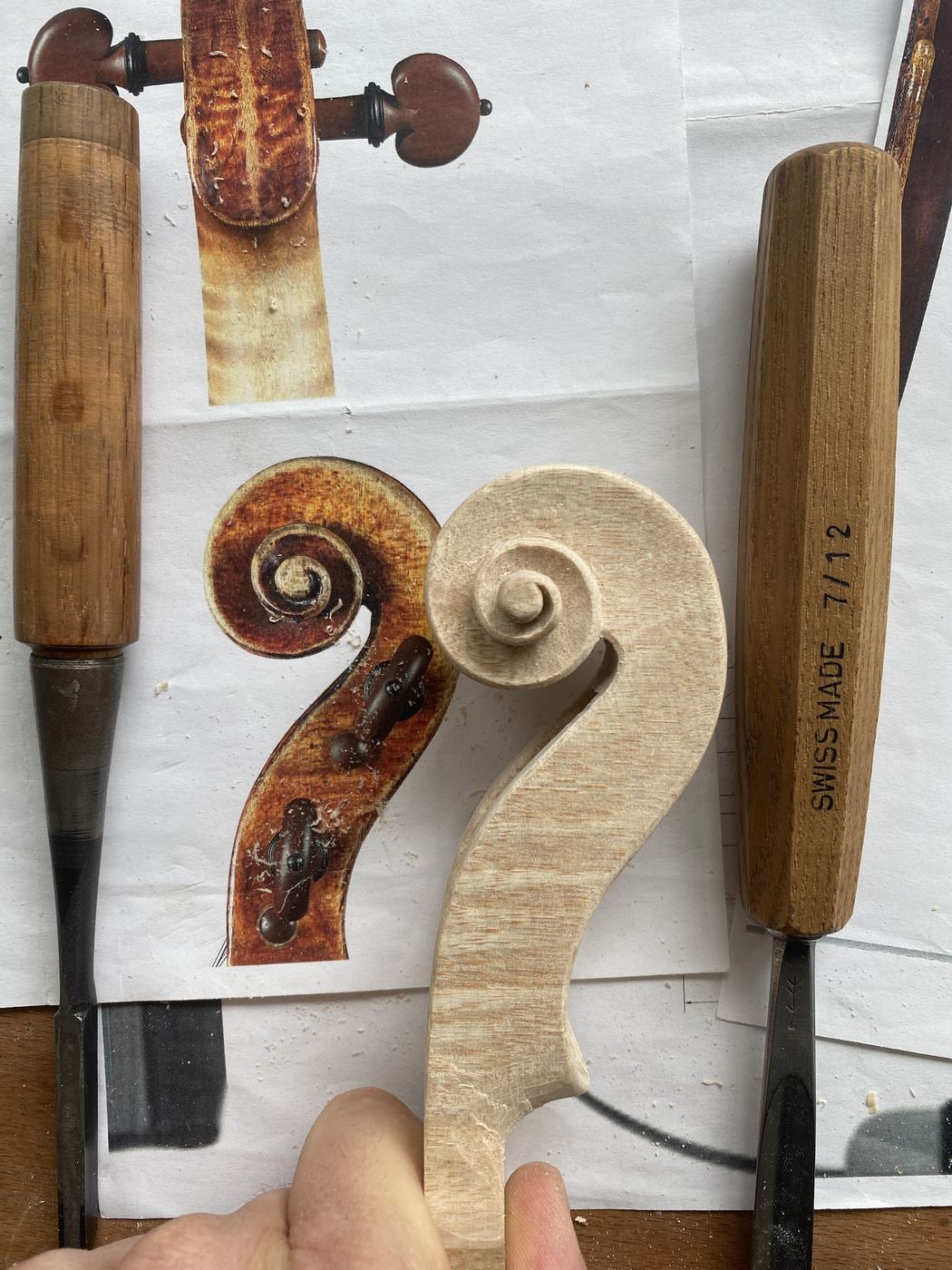 Viola scroll roughed out beside the reference photo